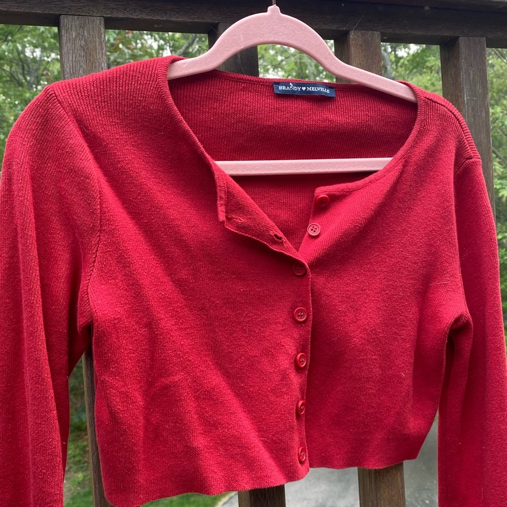 Brandy Melville cuter than me button up crop